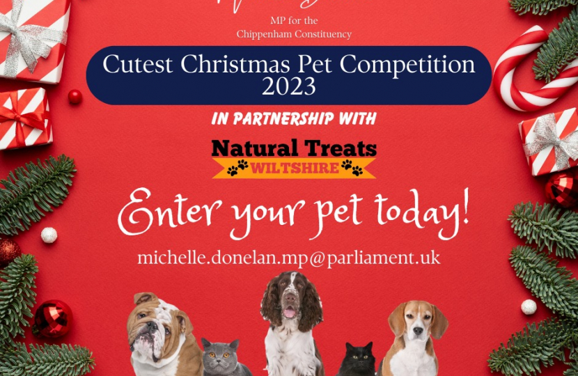 Cutest Christmas Pet Competition 2023