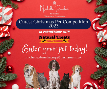 Cutest Christmas Pet Competition 2023
